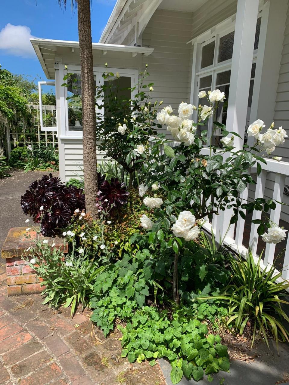 Browns Boutique Bed And Breakfast Whanganui Dış mekan fotoğraf